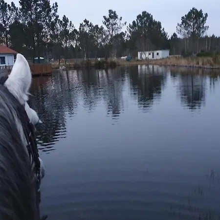 אתר קמפינג Atlantic Horses Urlaub&reiten